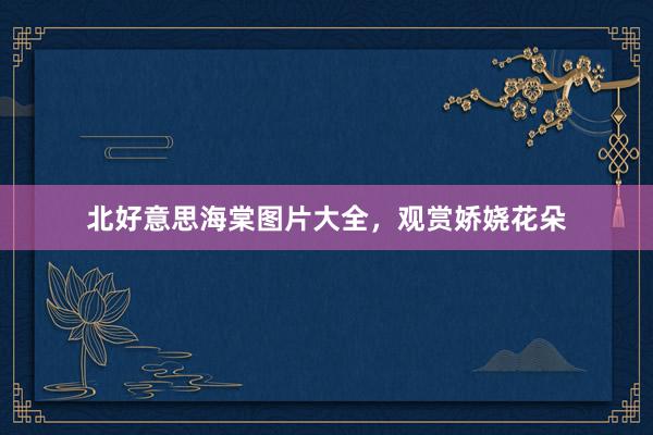 北好意思海棠图片大全，观赏娇娆花朵