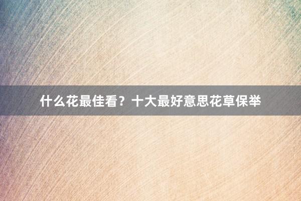 什么花最佳看？十大最好意思花草保举