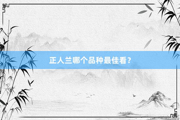 正人兰哪个品种最佳看？
