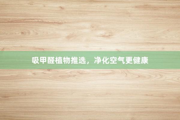 吸甲醛植物推选，净化空气更健康