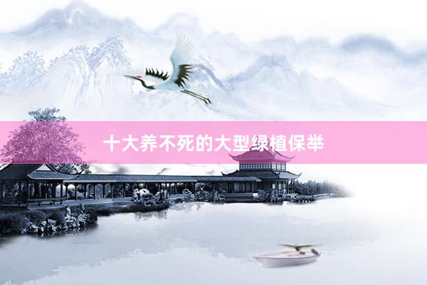 十大养不死的大型绿植保举